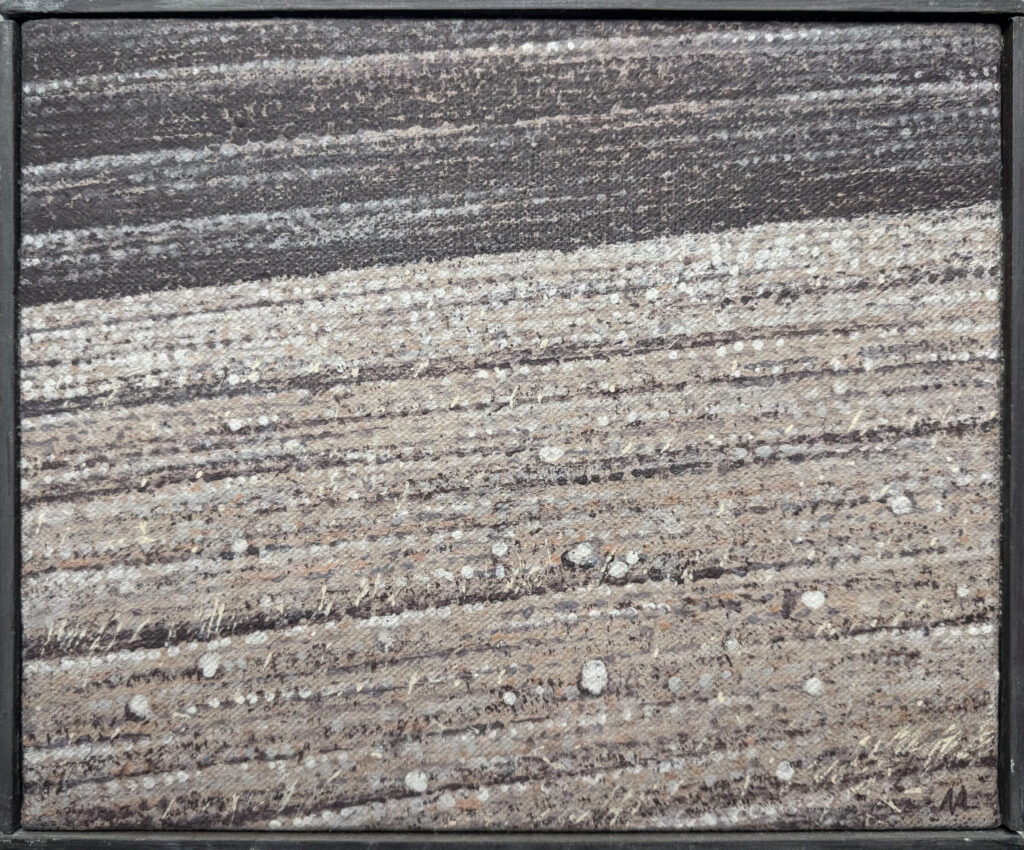 Ziemia 24
