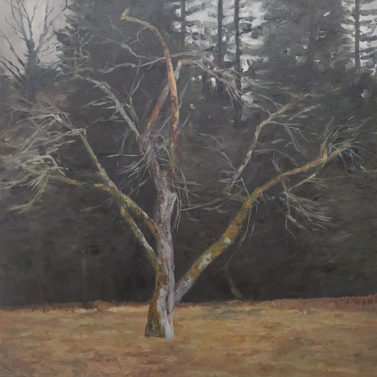 KK Drzewo w opuszczonym sadzie, 2025, 100x100 cm, olej, płótno