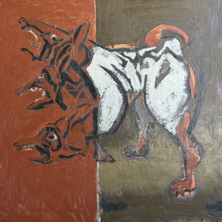 Zdjecie6